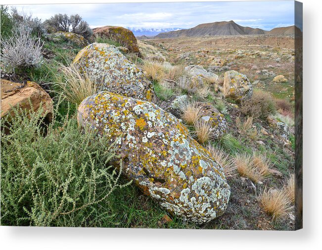 Bookcliffs Acrylic Print featuring the photograph Bookcliffs 84 by Ray Mathis