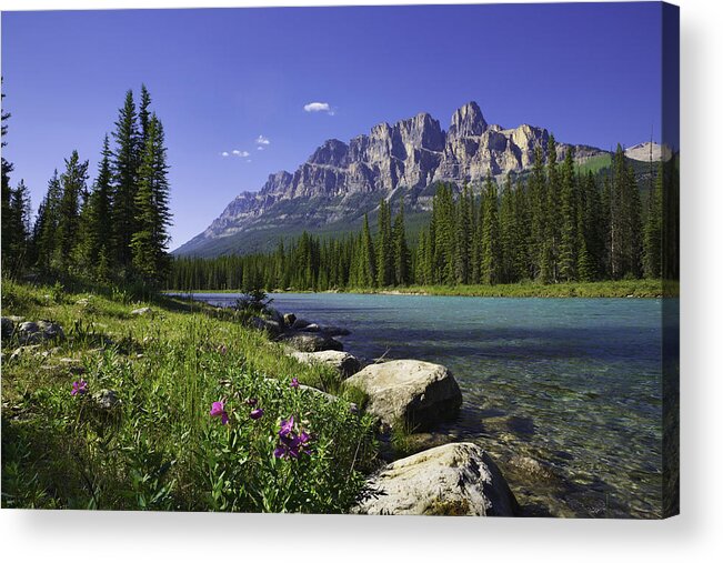 Water's Edge Acrylic Print featuring the photograph Bow River, Castle Mountain, Banff National Park Canada, wildflowers, copyspace by Dszc