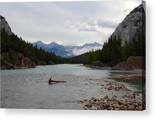 Banff Acrylic Print featuring the photograph Bow River by Yue Wang