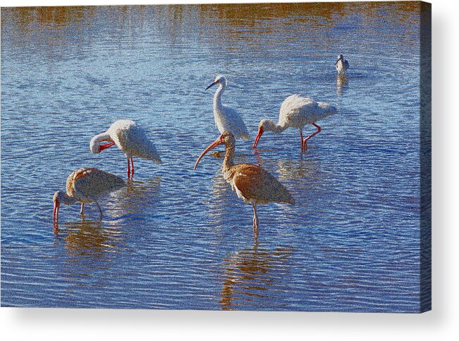 Water Acrylic Print featuring the photograph Breakfast At Sister's Creek by Ross Lewis