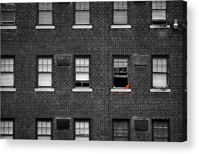 Architecture Acrylic Print featuring the photograph Brick Wall and Windows by Jim Shackett
