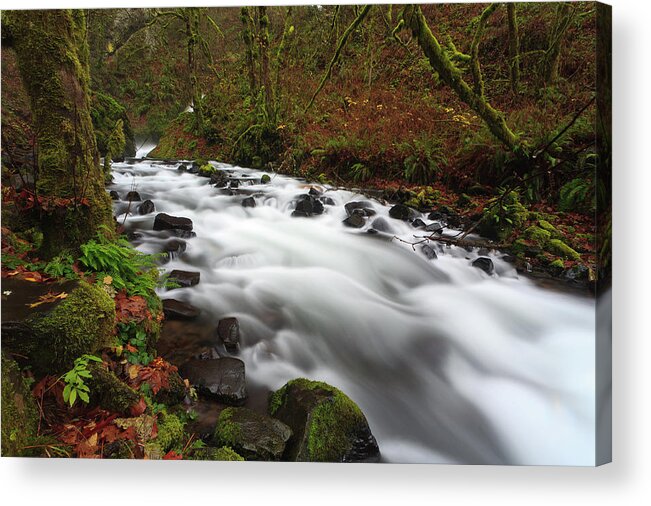 Scenics Acrylic Print featuring the photograph Bridal Veil Creek, Oregon by Photographed While Having Fun By Matt House