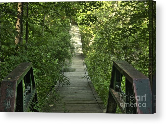 Bridge Acrylic Print featuring the photograph Bridge into the woods by Jim Lepard