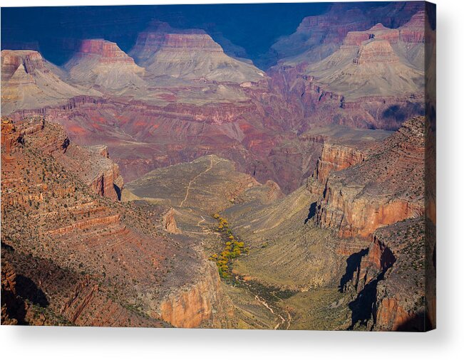 Arizona Acrylic Print featuring the photograph Bright Angel to Plateau Point by Ed Gleichman