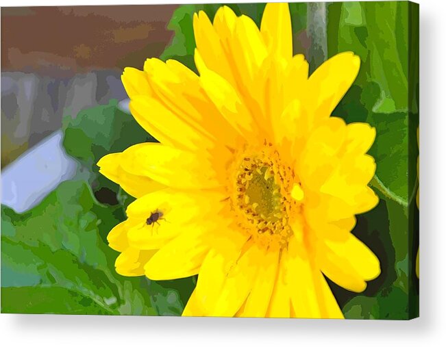 Plant Acrylic Print featuring the photograph Bright Flower by Michael Sokalski