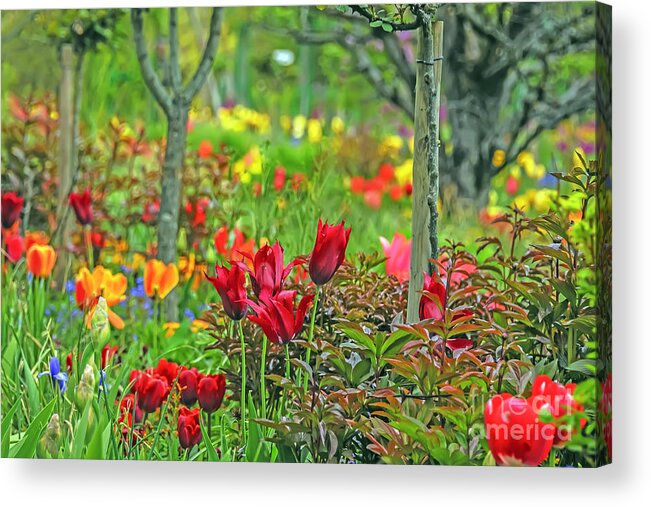 Travel Acrylic Print featuring the photograph Brilliance of Burgundy by Elvis Vaughn