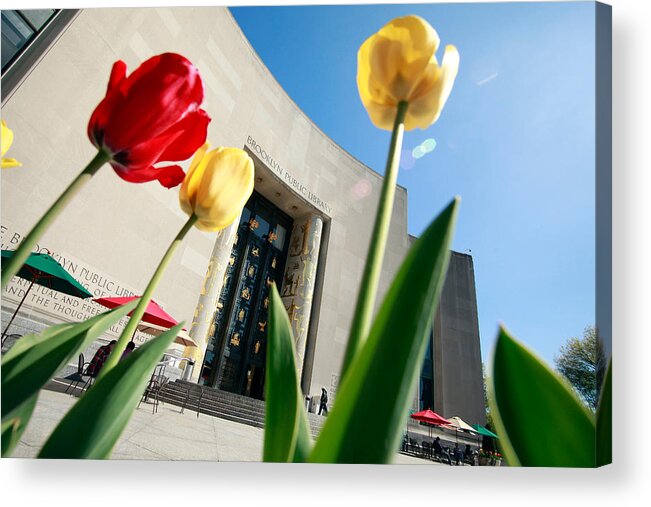 Brooklyn Acrylic Print featuring the photograph Brooklyn Public Library by Keith Thomson