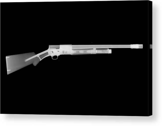 Gun Collectible Acrylic Print featuring the photograph Browning FN A5 by Ray Gunz