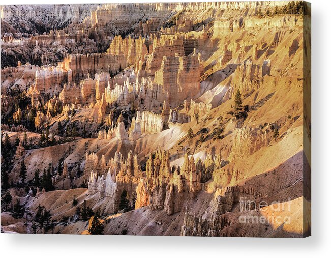 Color Landscape Photography Acrylic Print featuring the photograph Bryce Canyon 3 by David Waldrop