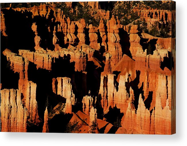 Daniel Woodrum Acrylic Print featuring the photograph Bryce Canyon Hoodoos at Sunset II by Daniel Woodrum