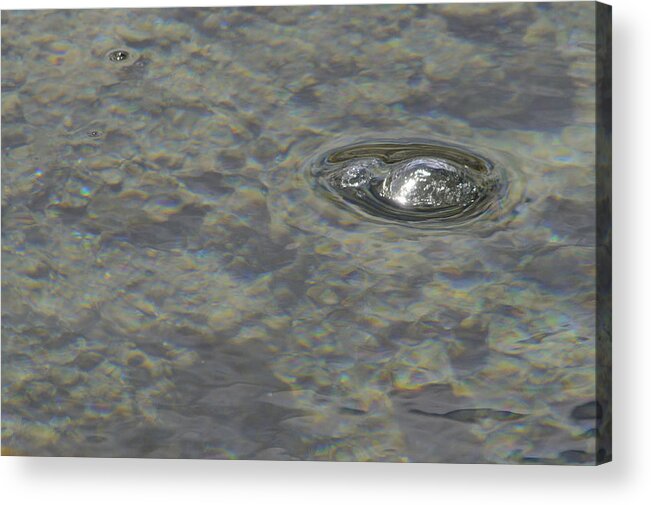 Water Acrylic Print featuring the photograph Bubble Bubble by Nadalyn Larsen