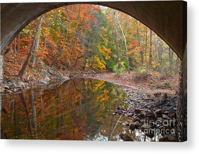 Fall Foliage Acrylic Print featuring the photograph Bucks County Foliage Under The Bridge by Adam Jewell