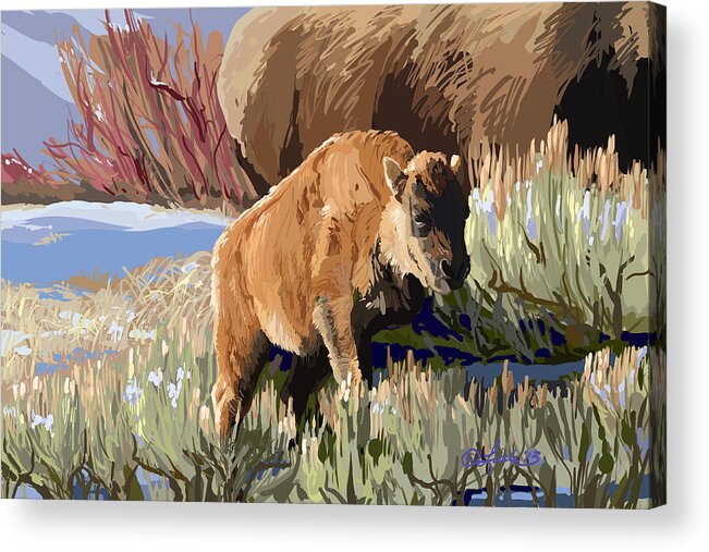 Animals Acrylic Print featuring the painting Buffalo Calf by Pam Little