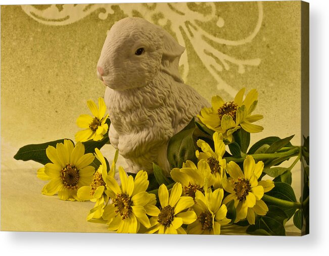 Bunny And Daisies Acrylic Print featuring the photograph Bunny And Daisies by Sandra Foster