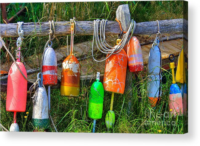 Swanson Collection Acrylic Print featuring the photograph Buoy's Resting 2 by Brenda Giasson
