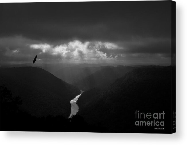 Buzzard Acrylic Print featuring the photograph Buzzard flying in gorge by Dan Friend