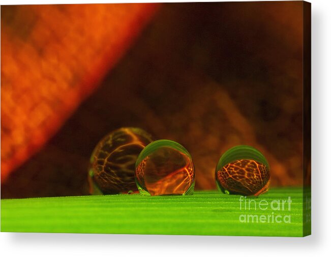 Raindrop Acrylic Print featuring the photograph C Ribet Orbscape 565 by C Ribet