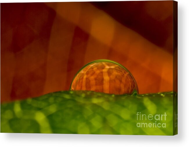 Raindrop Acrylic Print featuring the photograph C Ribet Orbscape In The Belly of Fury by C Ribet