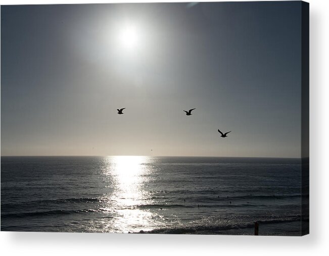 California Acrylic Print featuring the photograph California Seagulls Where Are They Headed by JG Thompson