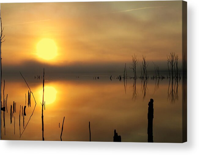 Water Acrylic Print featuring the photograph Calm at Dawn by Roger Becker