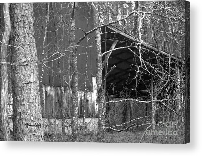 Shed Acrylic Print featuring the photograph Camouflage black and white ver 1 by Affini Woodley