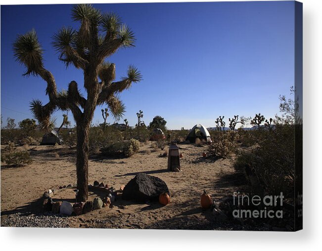 Desert Acrylic Print featuring the photograph Camping in the desert by Nina Prommer