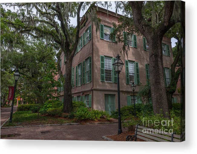 College Of Charleston Acrylic Print featuring the photograph Campus Walk by Dale Powell