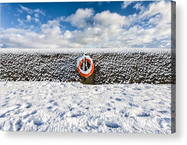 Snow Acrylic Print featuring the photograph Can you drown in snow? by Nigel R Bell