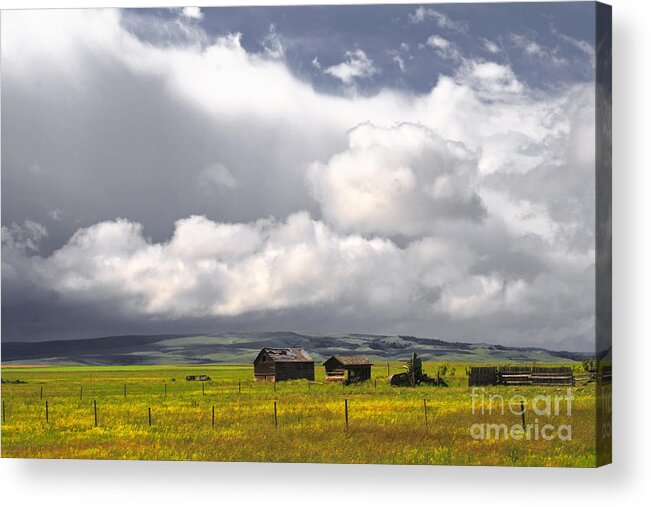Farmland Acrylic Print featuring the photograph Canadian Prairie by Charline Xia
