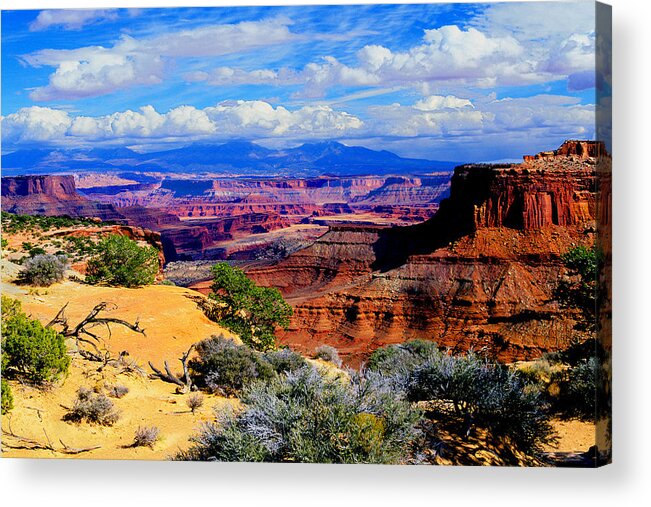 Western Landscape Acrylic Print featuring the photograph Canyonlands by Frank Houck