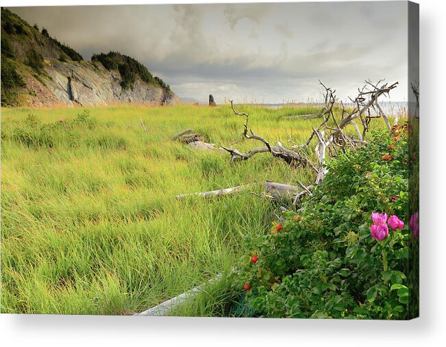 Scenics Acrylic Print featuring the photograph Cape Bretons Summer Beauty by Mel Sweetnam