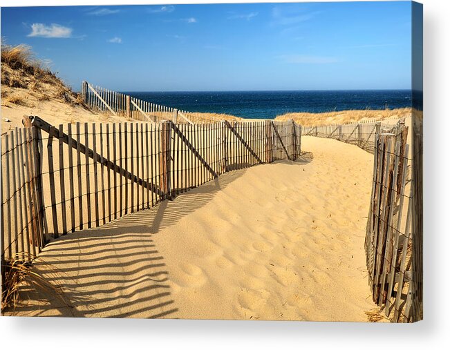 The World's Best Acrylic Print featuring the photograph Cape Cod Beach by Mitchell R Grosky