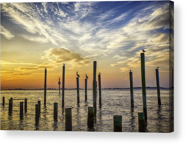 Southport Acrylic Print featuring the photograph Cape Fear Sunrise by Nick Noble