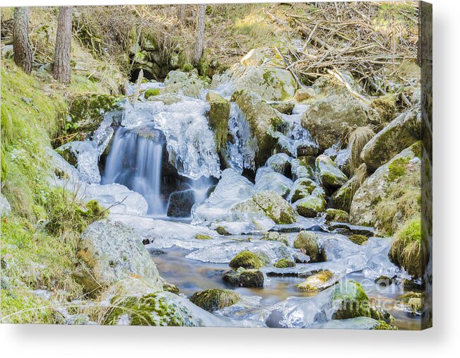 Water Acrylic Print featuring the photograph Cascade and ice by Stefano Piccini
