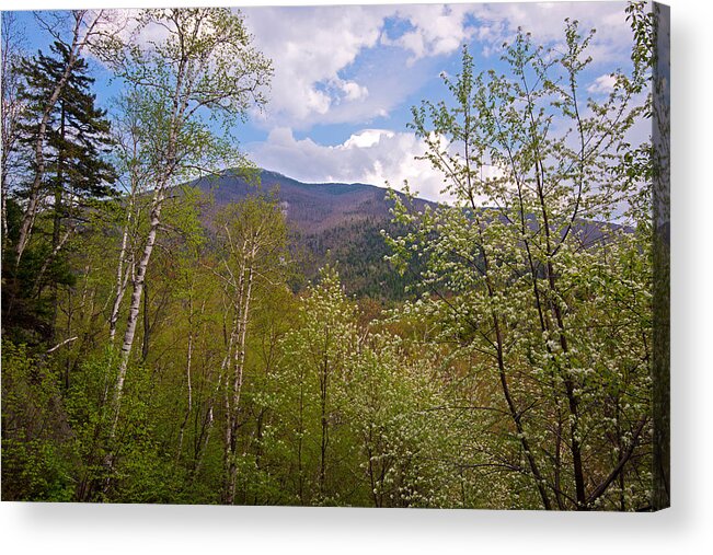 Photography Acrylic Print featuring the photograph Cascade Mountain Viewed Through Spring by Panoramic Images