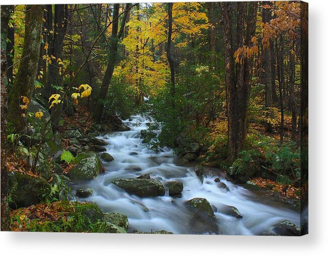 Art Prints Acrylic Print featuring the photograph Cascades on the Motor Nature Trail by Nunweiler Photography