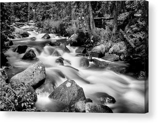 Mountain Stream Acrylic Print featuring the photograph Cascading Rocky Mountain Forest Creek BW by James BO Insogna