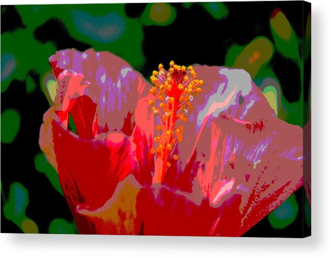 Hibiscus Acrylic Print featuring the photograph Celebration by Linda Bailey