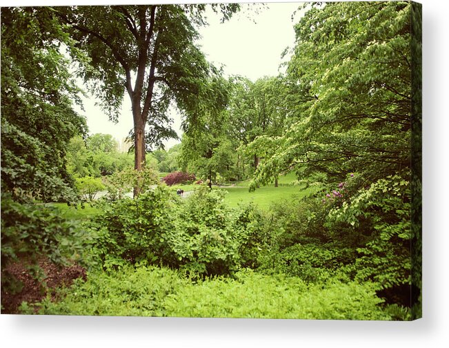 Scenics Acrylic Print featuring the photograph Central Park New York City by Magnez2