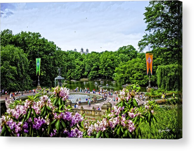 Central Park Acrylic Print featuring the photograph Central Park Spring by Madeline Ellis