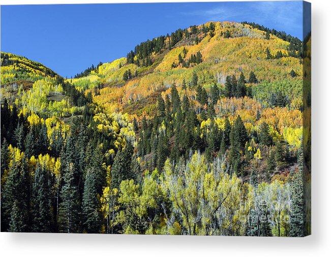 San Juan Mountains Acrylic Print featuring the photograph Changing Colors by Bob Phillips