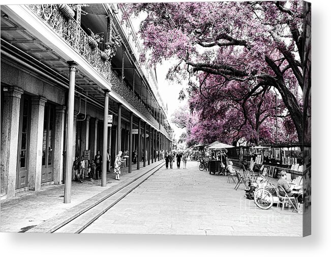 Buildings Acrylic Print featuring the photograph Characteristics of New Orleans-V13 by Douglas Barnard