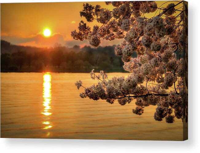 Tranquility Acrylic Print featuring the photograph Cherry Sunset by Sky Noir Photography By Bill Dickinson