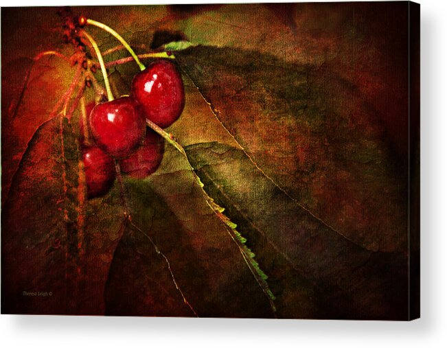 Cherries Acrylic Print featuring the photograph Cherry Time by Theresa Tahara