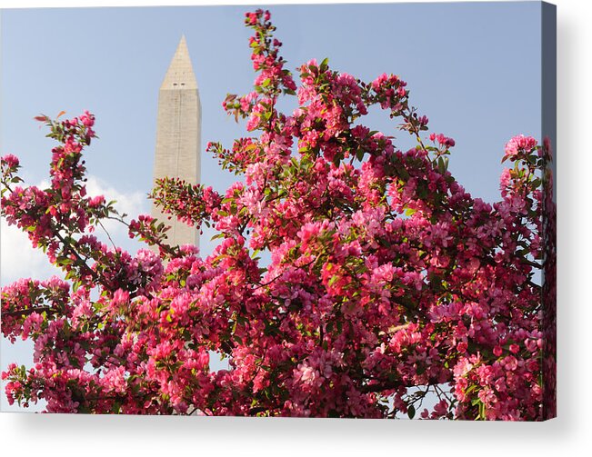 America Acrylic Print featuring the photograph Cherry Trees and Washington Monument 5 by Mitchell R Grosky