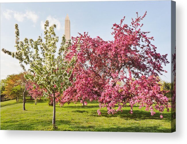 America Acrylic Print featuring the photograph Cherry Trees and Washington Monument Three by Mitchell R Grosky