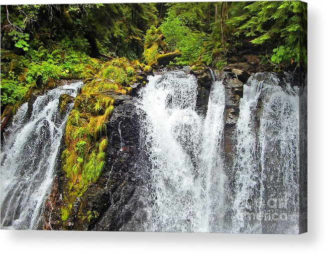 Alaska Acrylic Print featuring the photograph Chilkoot Falls by Phillip Allen