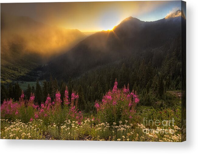 Chinook Pass Acrylic Print featuring the photograph Chinook Pass Sunrise II by Mark Kiver