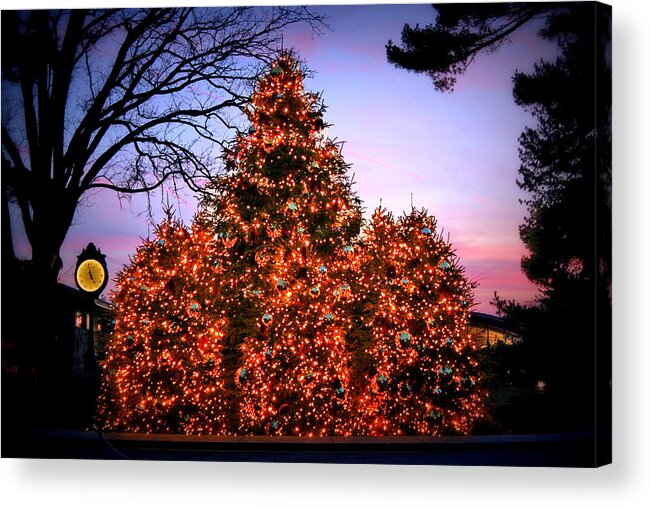 Christmas Acrylic Print featuring the photograph Christmas at The New York Botanical Garden by Aurelio Zucco