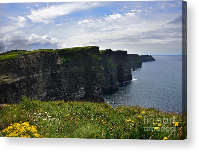 Cliff Acrylic Print featuring the photograph Cliffs of Moher Looking South by RicardMN Photography